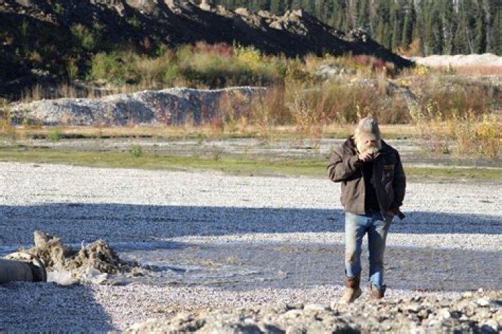 Monica Beets' Life, Age, And Height Revealed