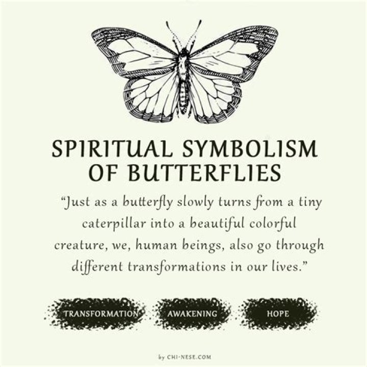 Unveiling The Symbolism And Significance Of Angel Wings