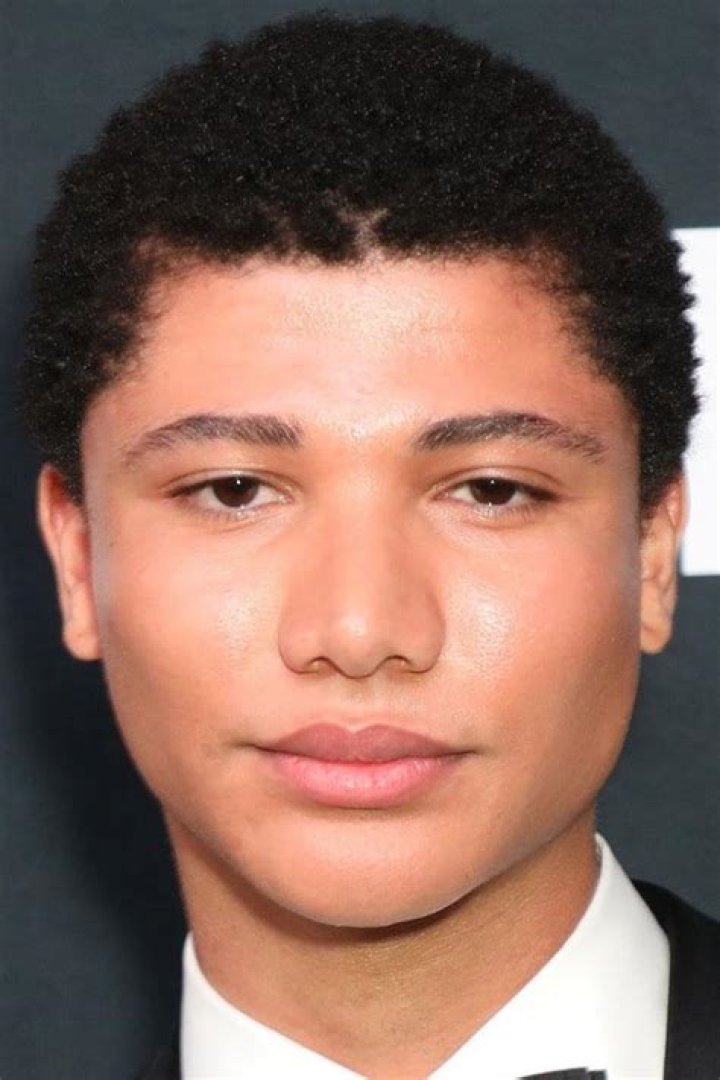 Unveiling The Untold Dimensions Of James Majoos's Age